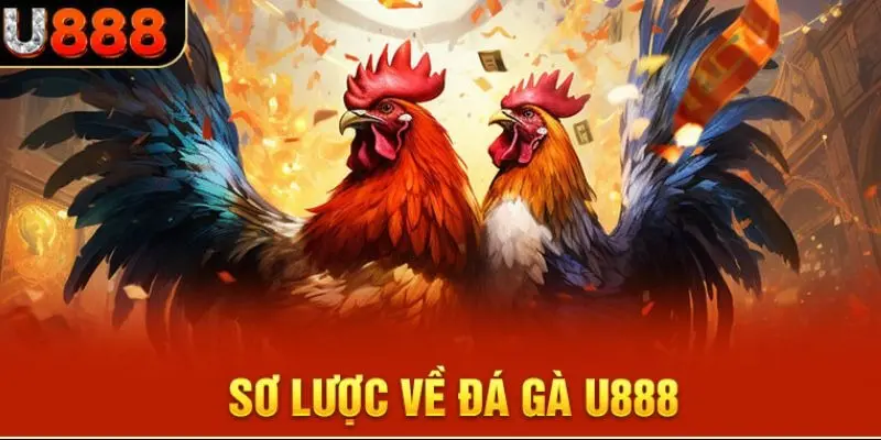 Đá gà u888
